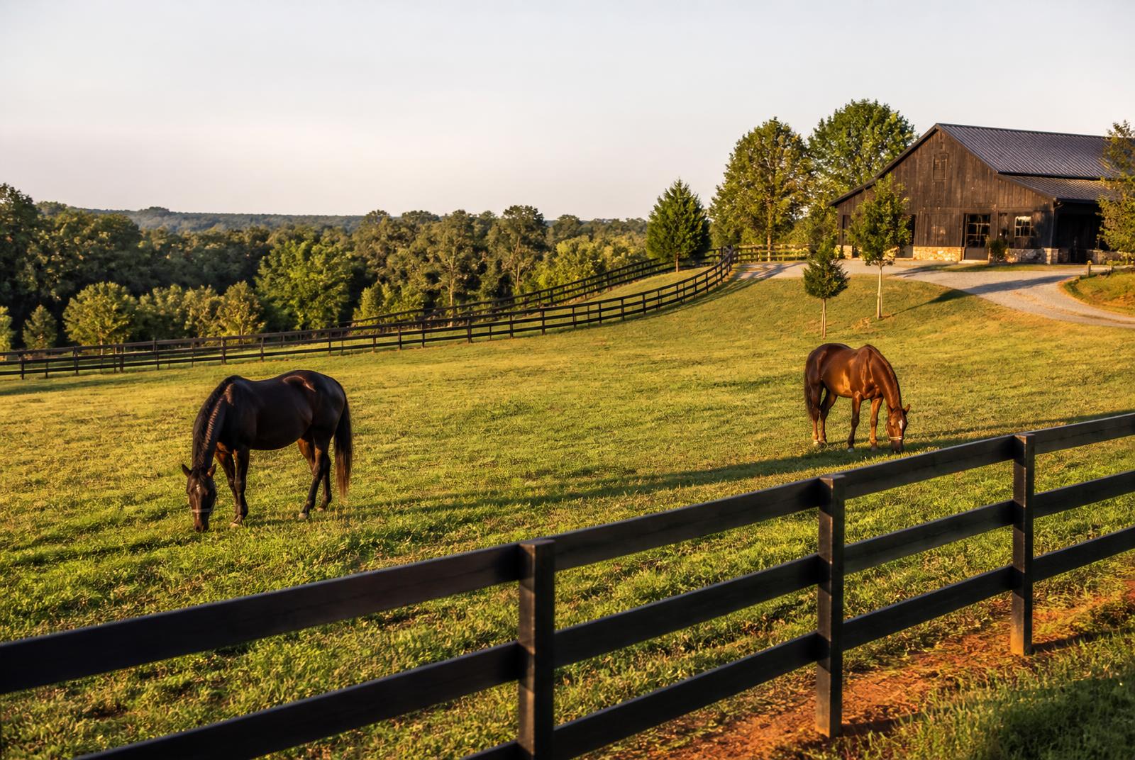 Equestrian estate near Marvin NC