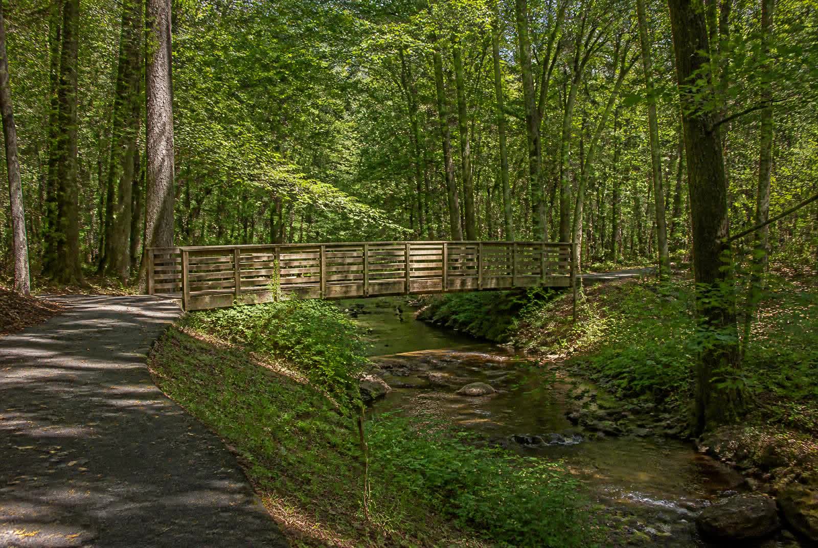 Marvin Efird Park & the Crane Road Greenway — Marvin, NC guide