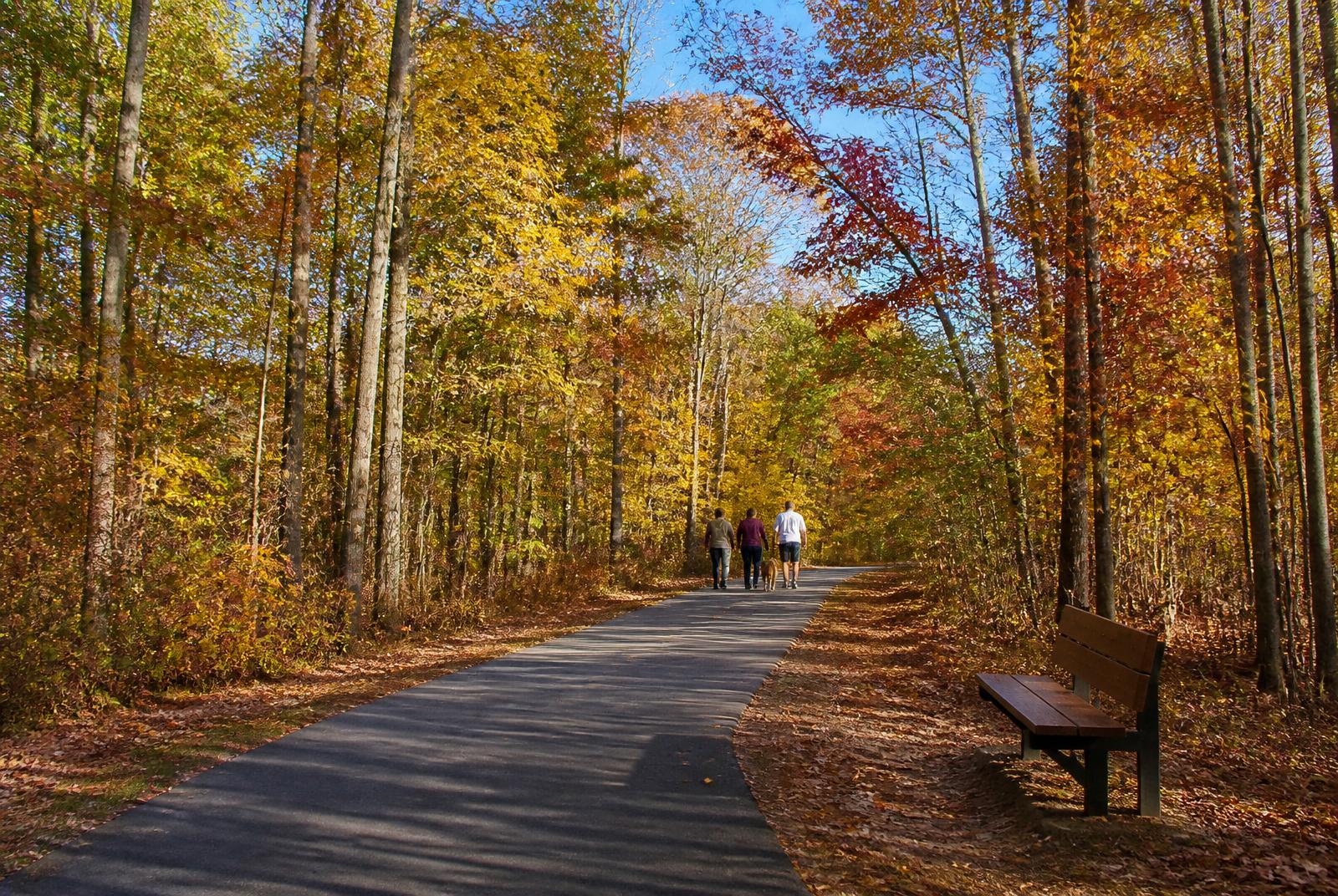 Autumn Light in Marvin, North Carolina