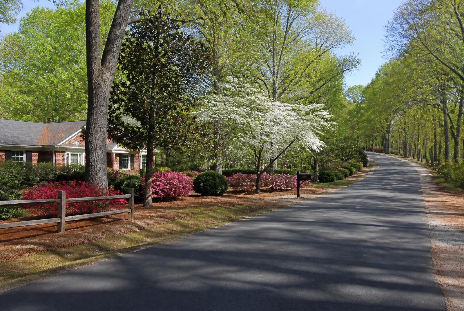Spring in Marvin in Marvin, North Carolina