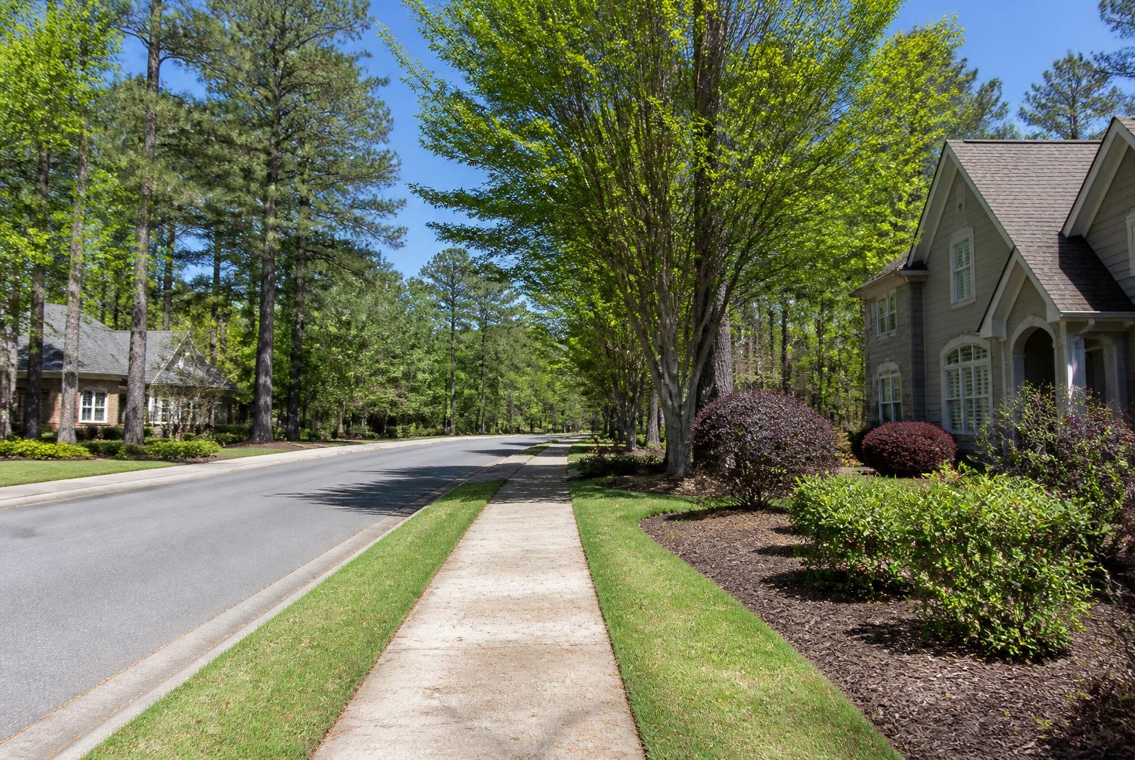 Quiet luxury village street under mature oak canopies in Marvin, North Carolina at golden hour